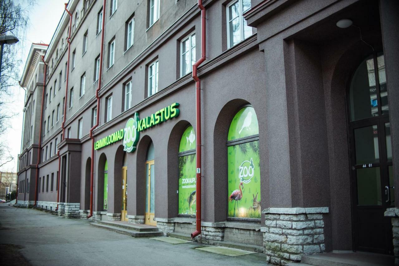 Large Studio Downtown Tallinn Dış mekan fotoğraf